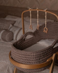 Adam's Moses Basket