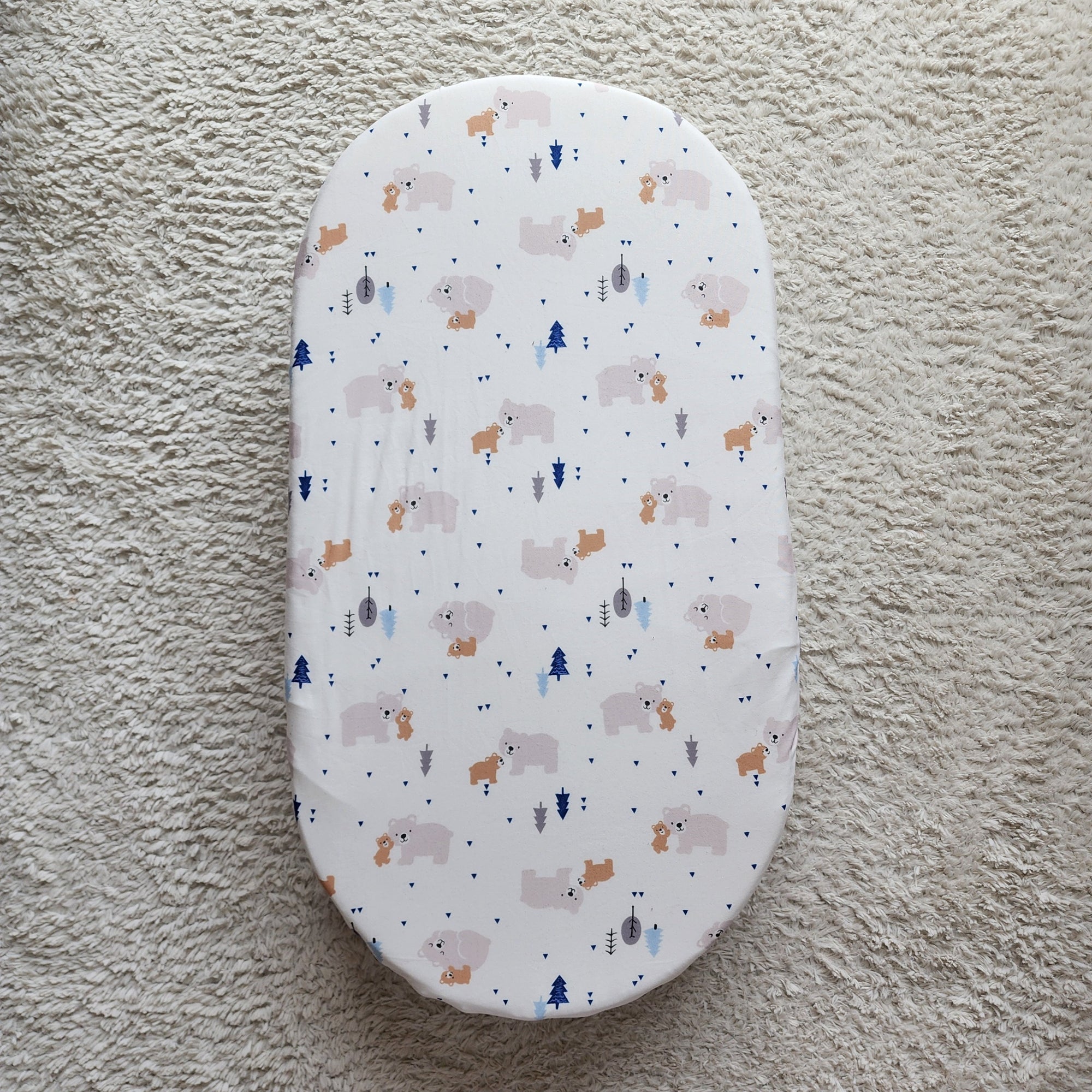 Adam's Mattress Cover
