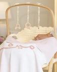 Adam's Moses Basket